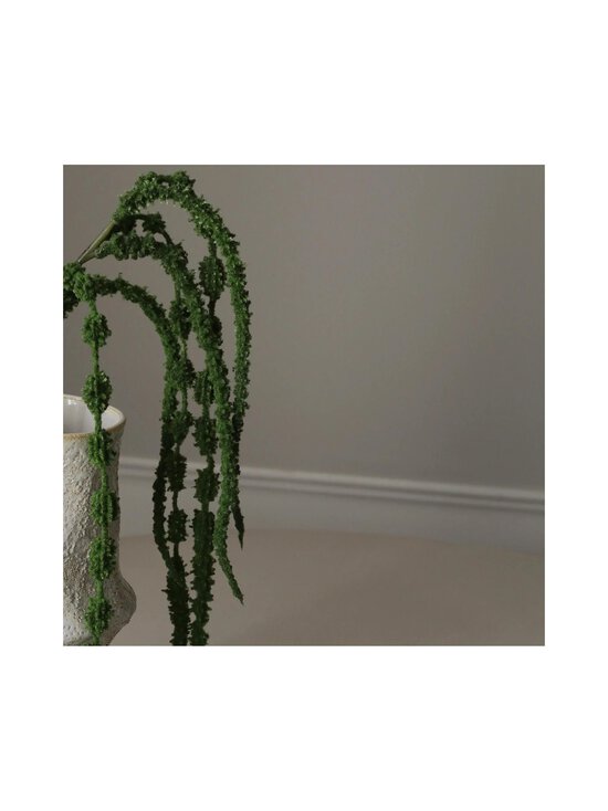 Botané - Green Amaranthus Caudatus Six Forks -koristekukka - GREEN | Stockmann - photo 3