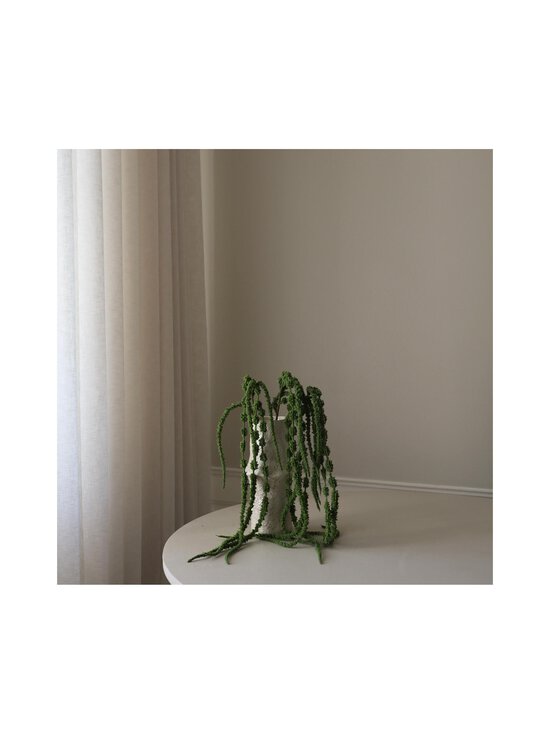 Botané - Green Amaranthus Caudatus Six Forks -koristekukka - GREEN | Stockmann - photo 4