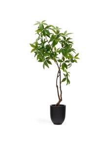 Kave Home - Pachira-tekokasvi K 180 cm - GREEN | Stockmann