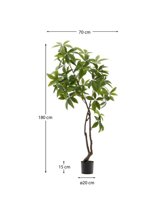Kave Home - Pachira-tekokasvi K 180 cm - GREEN | Stockmann - photo 5