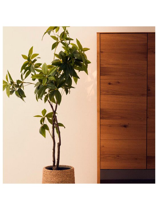 Kave Home - Pachira-tekokasvi K 180 cm - GREEN | Stockmann - photo 2