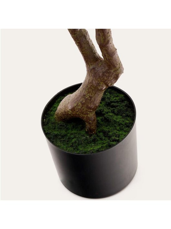 Kave Home - Pachira-tekokasvi K 180 cm - GREEN | Stockmann - photo 4