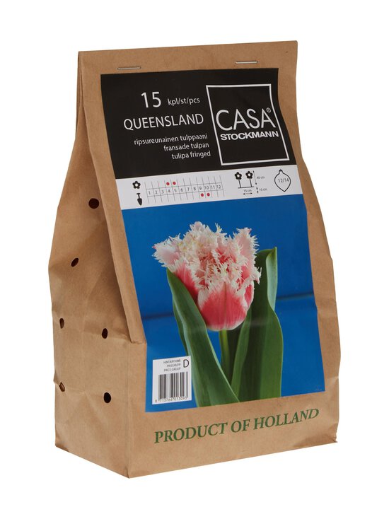 Tulipa Fringed Queensland -kukkasipulit 15 kpl