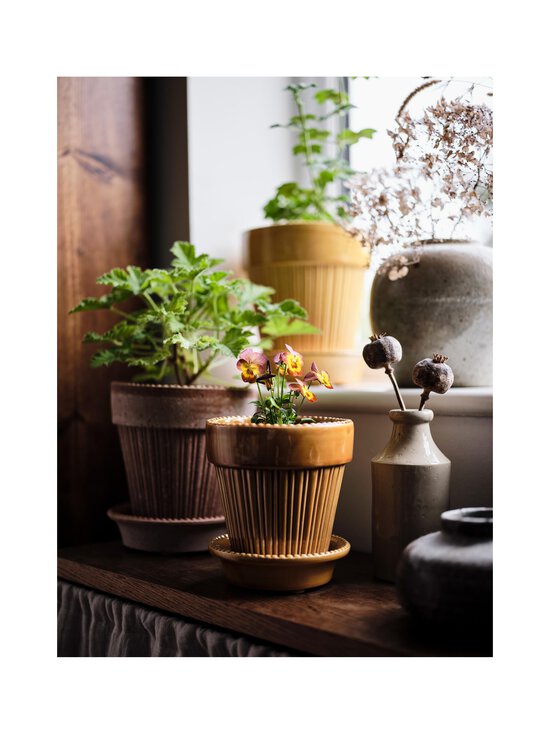 Bergs Potter - Simona- ruukku ja aluslautanen 12 cm - AMBER YELLOW AMBER YELLOW | Stockmann - photo 3