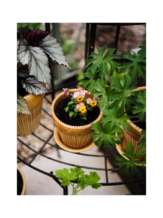 Bergs Potter - Simona- ruukku ja aluslautanen 12 cm - AMBER YELLOW AMBER YELLOW | Stockmann - photo 4