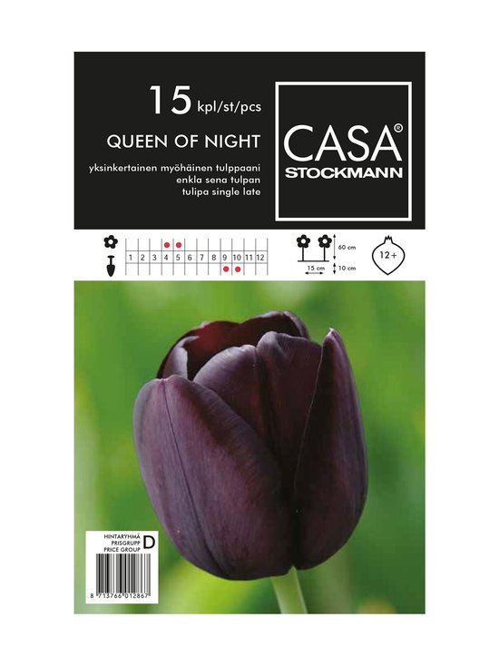 Yksinkertainen myöhäinen tulppaani -kukkasipulit