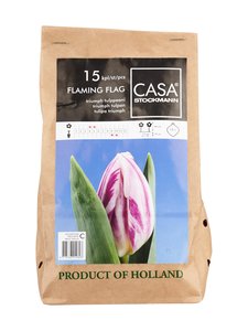 Casa Stockmann - Flaming Flag tulppaani -kukkasipulit - VALKOINEN/VIOLETTI Casa Stockmann - Flaming Flag tulppaani -kukkasipulit - VALKOINEN/VIOLETTI | Stockmann