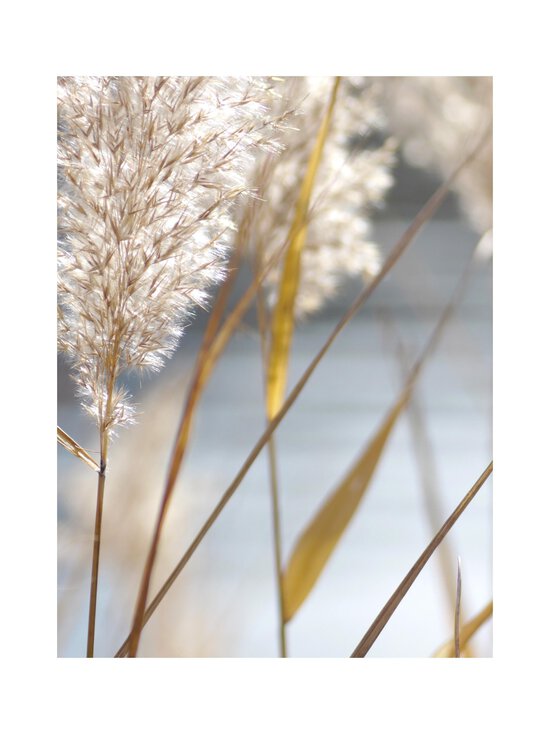 Maison Crivelli - Papyrus Moléculaire Eau de Parfum -tuoksu - NOCOL | Stockmann - photo 8