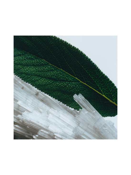 Jo Malone London - Wood Sage & Sea Salt Room Spray -huonesuihke - NOCOL | Stockmann - photo 6