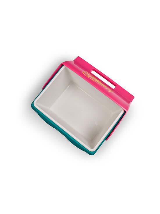 Igloo - Kooltunes-kylmälaukku Bluetooth-kaiuttimilla 13 l - JADE | Stockmann - photo 3