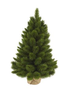 Triumph Tree - Camden-joulukuusi - GREEN | Stockmann