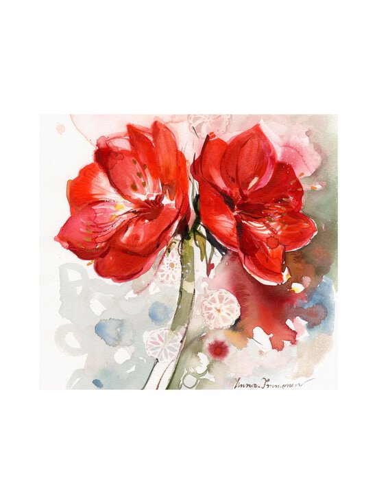 Amaryllis-servetti 20 kpl