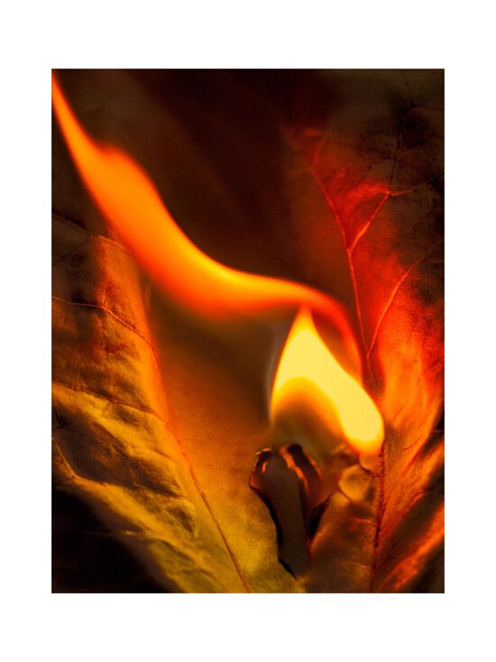 Maison Crivelli - Tobacco Carnaval Extrait de Parfum -tuoksu - NOCOL | Stockmann - photo 6