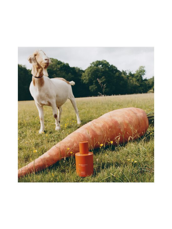 Jo Malone London - Carrot Cologne -tuoksu - NOCOL | Stockmann - photo 3