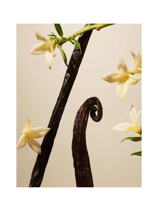 Rituals - Private Collection Suede Vanilla Fragrance Sticks -tuoksutikut - NOCOL | Stockmann - photo 3