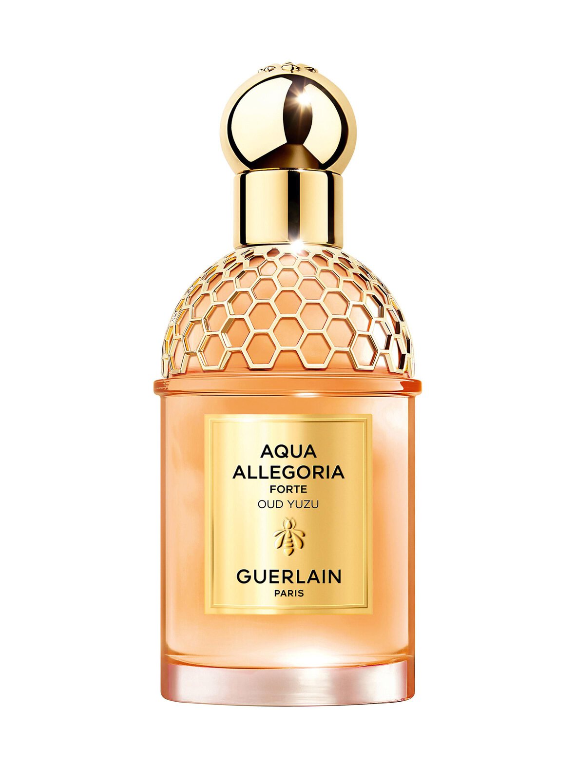 Aqua Allegoria Forte Oud Yuzu EdP -tuoksu