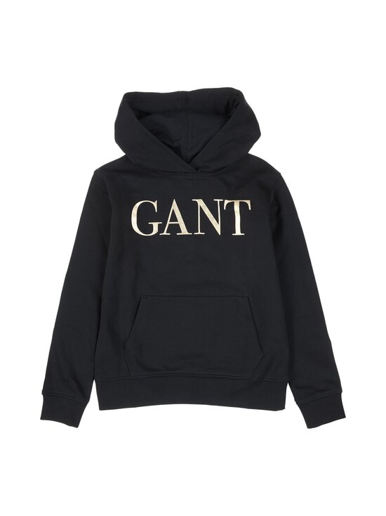 D1. Shiny Logo Hoodie -huppari