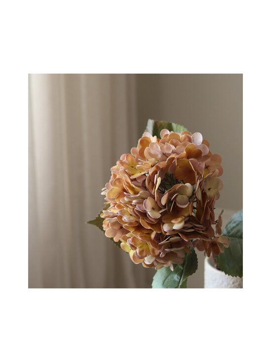 Botané - Oragne Hydrangea -tekokukka - ORANGE | Stockmann - photo 2