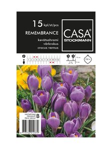 Casa Stockmann - Kevätsahrami-kukkasipulit - LIILA Casa Stockmann - Kevätsahrami-kukkasipulit - LIILA | Stockmann