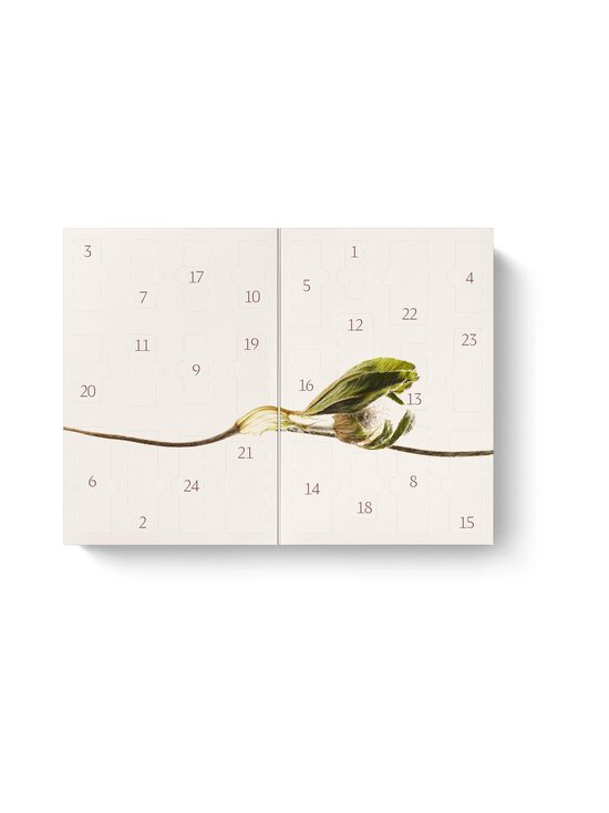 Dr.Hauschka - Advent Calendar 2026 Bliss kosmētikas kalendārs - NOCOL | Stockmann - photo 2