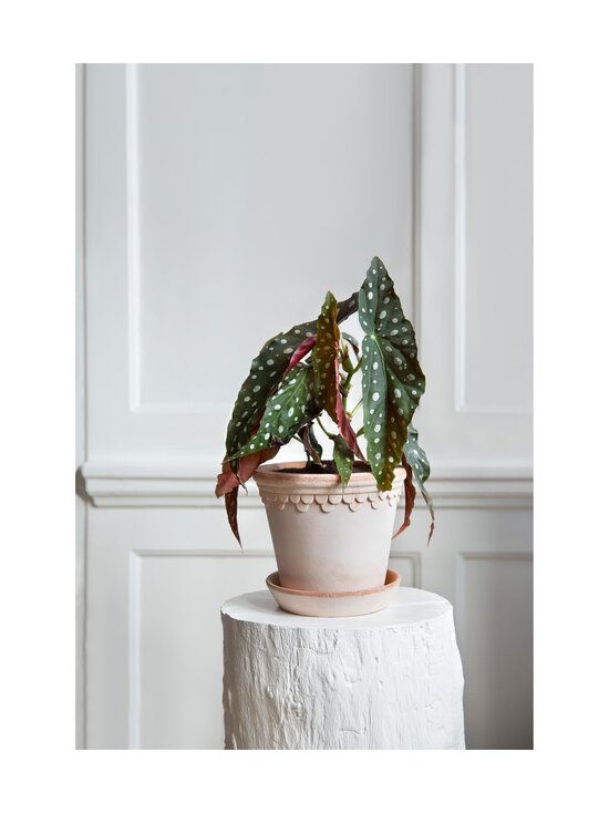 Bergs Potter - Lillepott Københavner, 18 cm - ROSA - photo 2 Bergs Potter - Lillepott Københavner, 18 cm - ROSA | Stockmann - photo 2