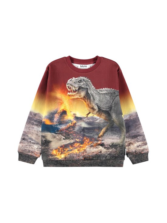 Molo - Džemperis - 9723 DINO LANDSCAPE | Stockmann - photo 1