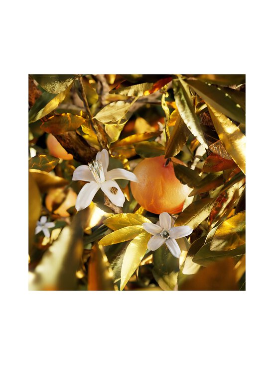 Bvlgari - Le Gemme Tygar -tuoksu - NOCOL | Stockmann - photo 7