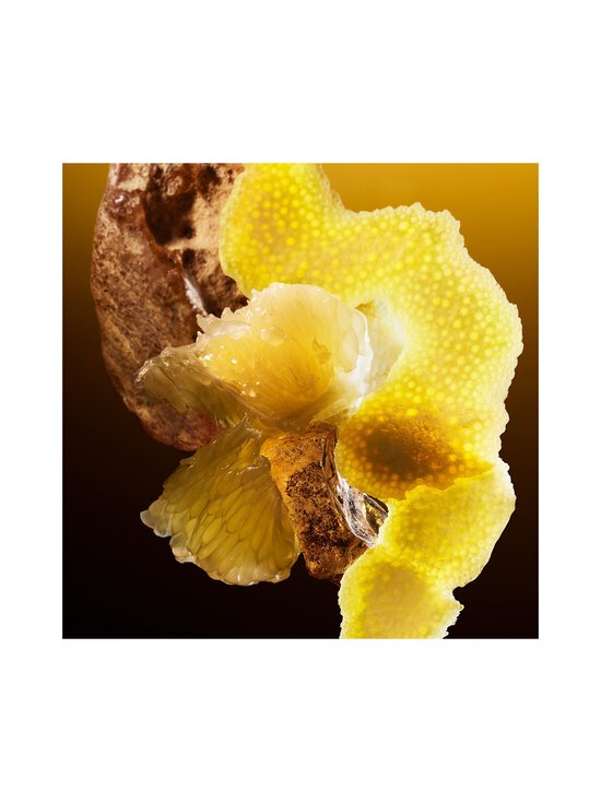 Bvlgari - Le Gemme Tygar -tuoksu - NOCOL | Stockmann - photo 13