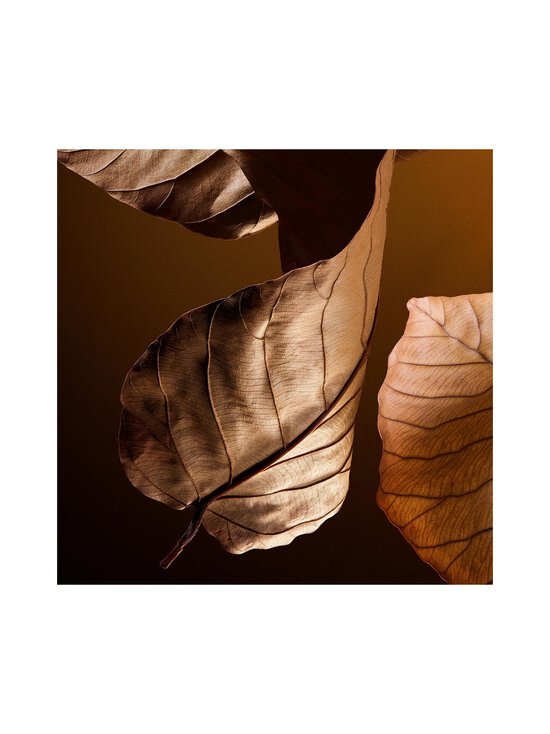 Dolce & Gabbana - The One Pour Homme EdP - NOCOL | Stockmann - photo 6