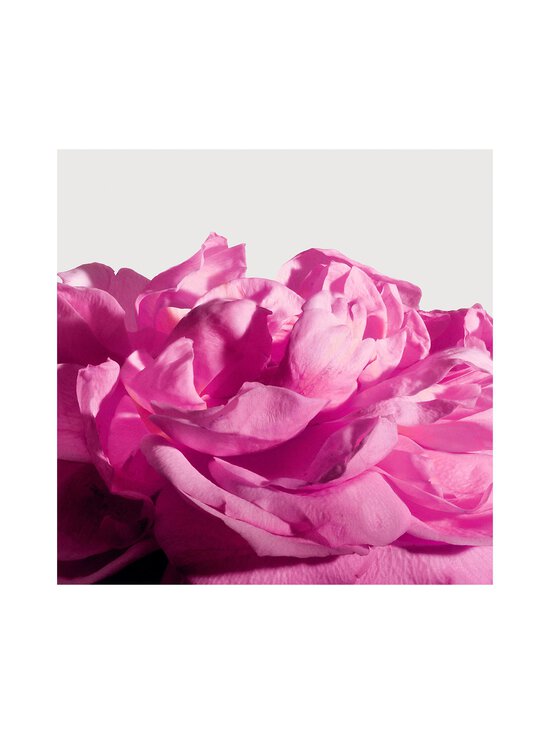 Matiere Premiere - Radical Rose Extrait de Parfum -tuoksu 50 ml - NOCOL - photo 2 Matiere Premiere - Radical Rose Extrait de Parfum -tuoksu 50 ml - NOCOL | Stockmann - photo 2