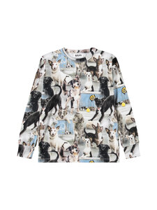 Molo - Pikkade varrukatega särk Dino Harmony - 6247 CURIOUS DOGS | Stockmann