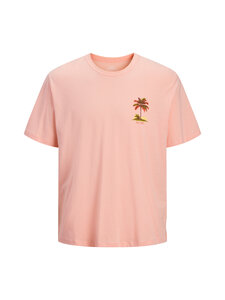 JACK & JONES junior - Tropical Surf T-krekls - PEACH MELBA | Stockmann
