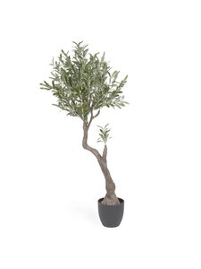 Kave Home - Oliivipuu-tekokasvi - MUSTA | Stockmann