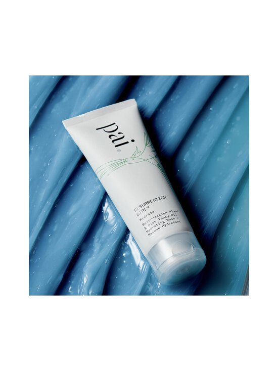 Pai Skincare - Resurrection Girl -kosteuttava naamio - NOCOL | Stockmann - photo 2