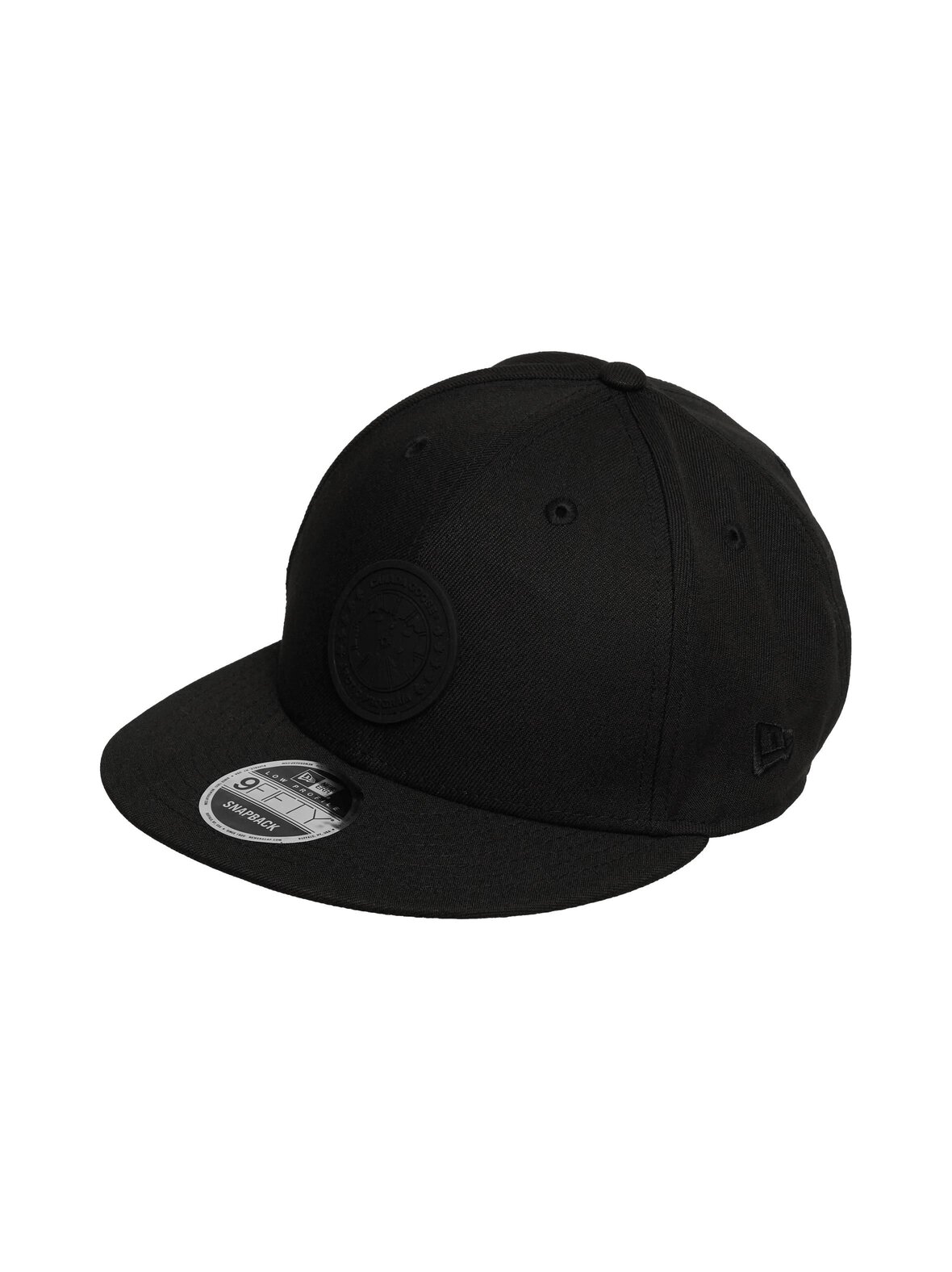 Arctic Disc Snapback -lippalakki