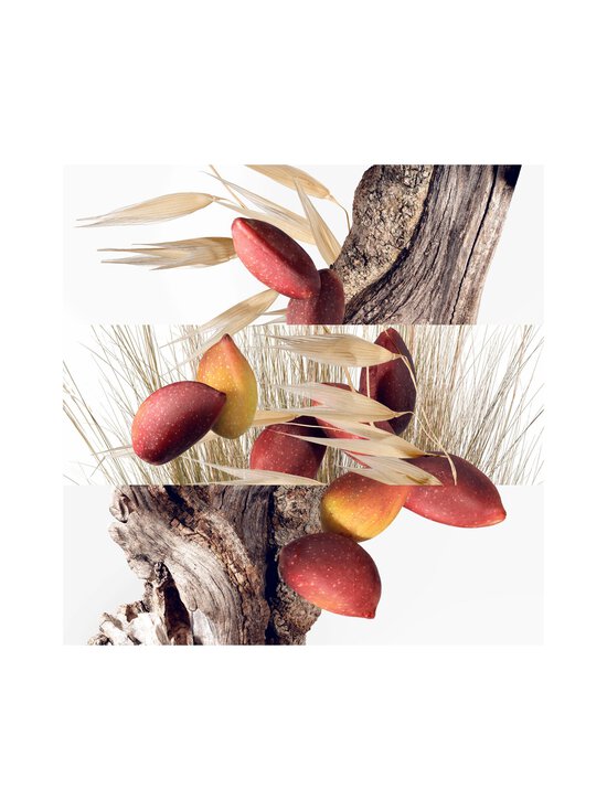 HERMÈS - Un Jardin à Cythère, EdT -tuoksu - NOCOL - photo 6 HERMÈS - Un Jardin à Cythère, EdT -tuoksu - NOCOL | Stockmann - photo 6