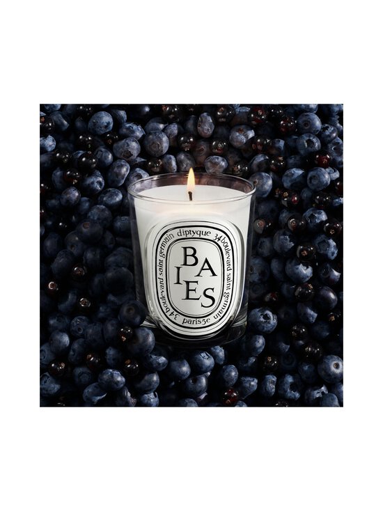 Diptyque - Baies Classic -tuoksukynttilä 190 g - NOCOL | Stockmann - photo 4