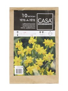 Casa Stockmann - Syklaaminarsissi-kukkasipulit - KELTAINEN Casa Stockmann - Syklaaminarsissi-kukkasipulit - KELTAINEN | Stockmann