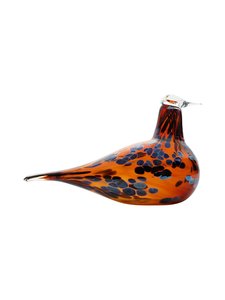 Iittala - Pekkasiini-lasilintu Iittala - Pekkasiini-lasilintu | Stockmann