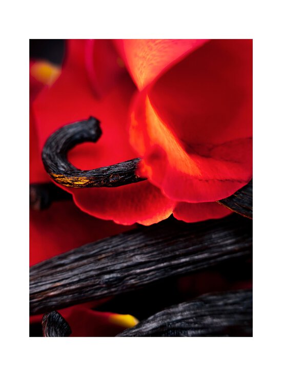 Maison Crivelli - Hibiscus MahaJád Extrait de Parfum -tuoksu - NOCOL | Stockmann - photo 6