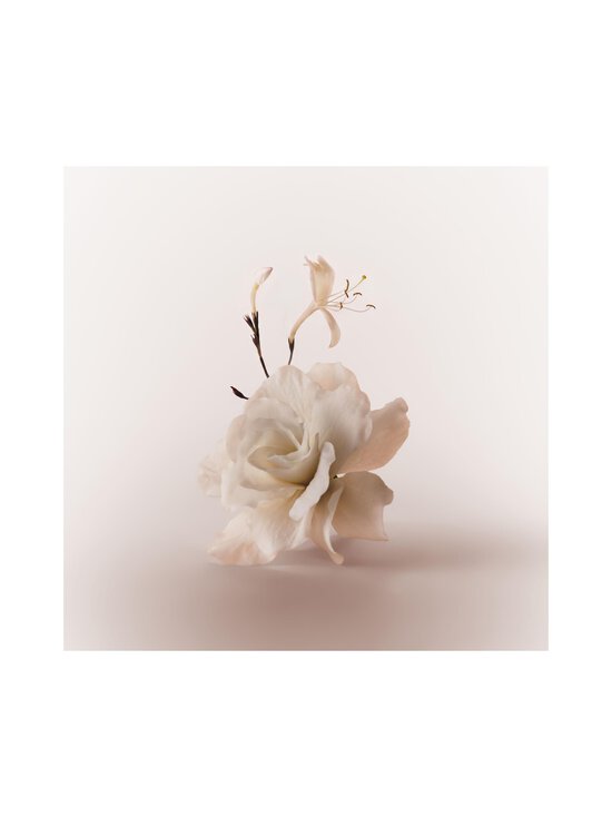 Kylie Jenner - Moodstone Blush Wood  Eau De Parfum -tuoksu - NOCOL | Stockmann - photo 11