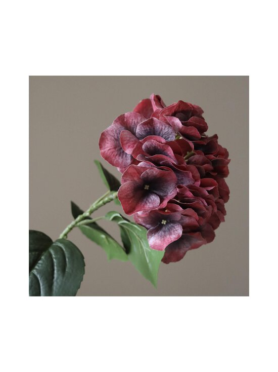 Botané - Hydrangea-tekokukka - RED | Stockmann - photo 2