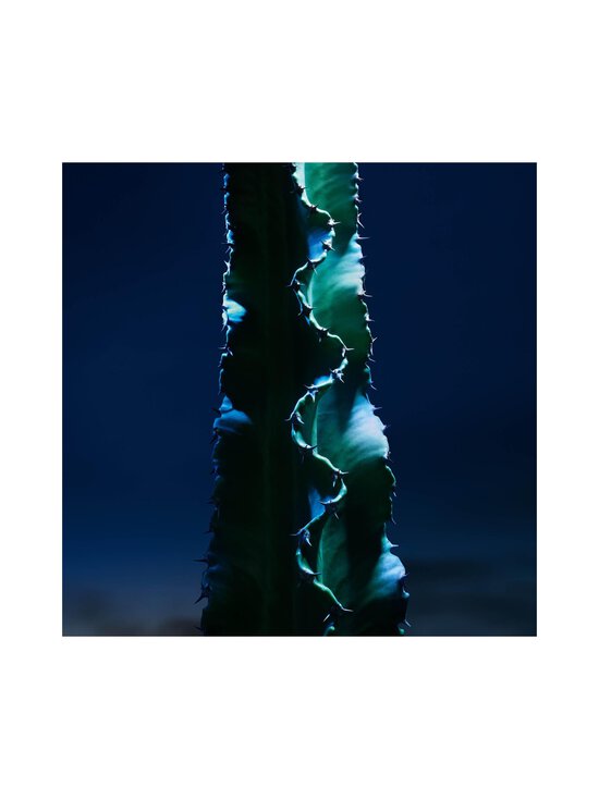 DIOR - Sauvage The Cleanser -puhdistusgeeli - NOCOL | Stockmann - photo 3