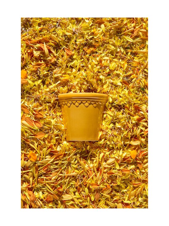 Bergs Potter - Lillepott Københavner, 10 cm - AMBER YELLOW - photo 4 Bergs Potter - Lillepott Københavner, 10 cm - AMBER YELLOW | Stockmann - photo 4