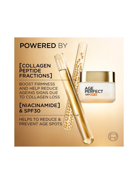 L'Oréal Paris - Age Perfect Collagen Expert Anti-Sagging Cream SPF30 -päivävoide - NOCOL | Stockmann - photo 4