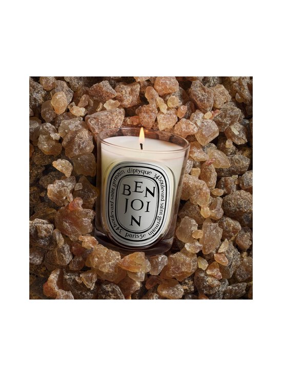 Diptyque - Benjoin Classic -tuoksukynttilä 190 g - NOCOL | Stockmann - photo 4