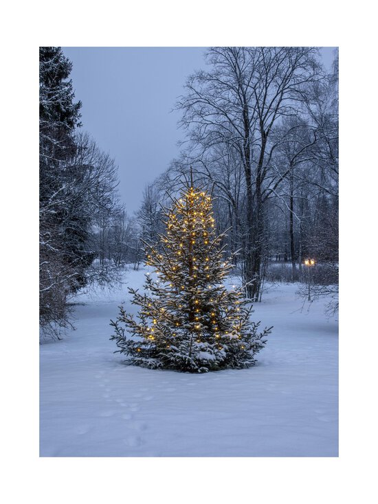 Star Trading - Dew Drop Micro -joulukuusen valosarja - GREEN - photo 7 Star Trading - Dew Drop Micro -joulukuusen valosarja - GREEN | Stockmann - photo 7