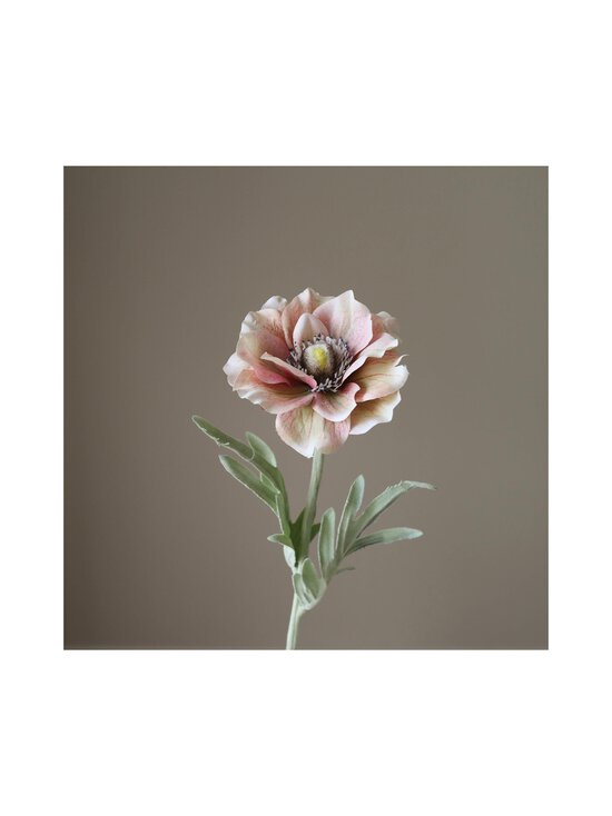 Botané - Anemone-tekokukka - LIGHT PINK | Stockmann - photo 2