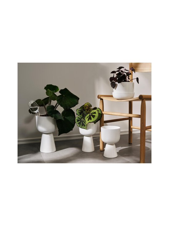 Iittala - Kastelupullo 2 kpl - KIRKAS - photo 2 Iittala - Kastelupullo 2 kpl - KIRKAS | Stockmann - photo 2