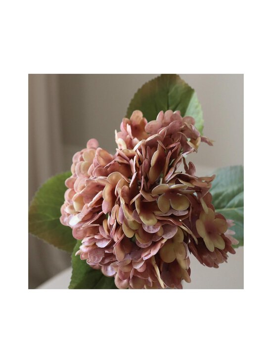 Botané - Rose Hydrangea -tekokukka - ROSE | Stockmann - photo 2